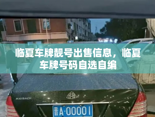 临夏车牌靓号出售信息，临夏车牌号码自选自编