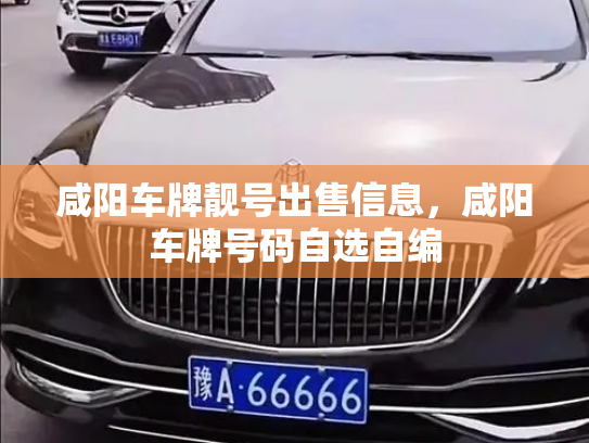 咸阳车牌靓号出售信息,咸阳车牌号码自选自编-第2张图片-七号汽车选号 咸阳车牌靓号出售信息,咸阳车牌号码自选自编-第2张图片-七号汽车选号