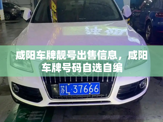 咸阳车牌靓号出售信息,咸阳车牌号码自选自编-第3张图片-七号汽车选号 咸阳车牌靓号出售信息,咸阳车牌号码自选自编-第3张图片-七号汽车选号
