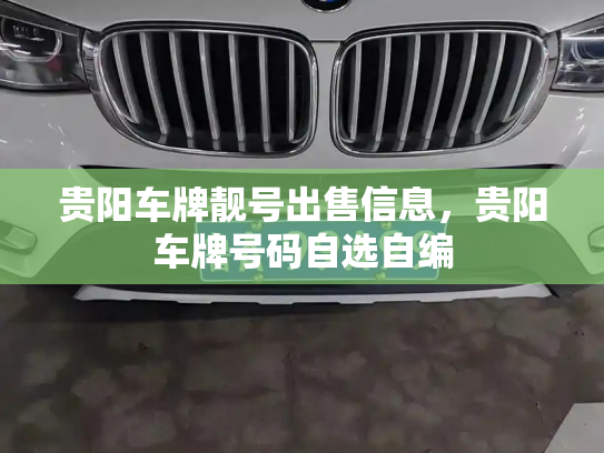 贵阳车牌靓号出售信息，贵阳车牌号码自选自编