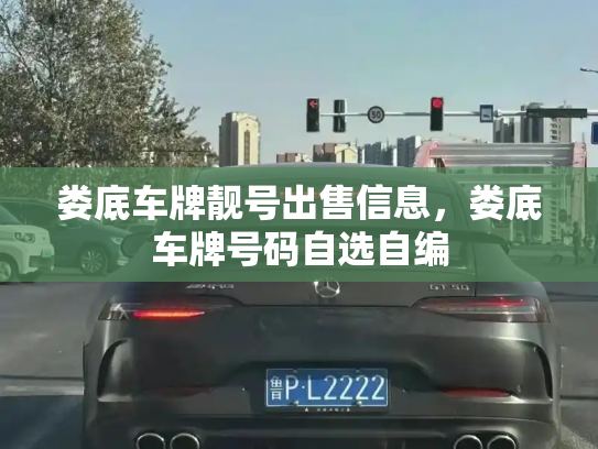 娄底车牌靓号出售信息,娄底车牌号码自选自编-第3张图片-七号汽车选号 娄底车牌靓号出售信息,娄底车牌号码自选自编-第3张图片-七号汽车选号