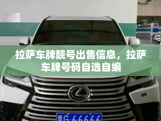 拉萨车牌靓号出售信息，拉萨车牌号码自选自编-第2张图片-七号汽车选号