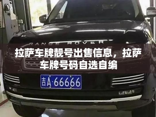 拉萨车牌靓号出售信息，拉萨车牌号码自选自编-第3张图片-七号汽车选号