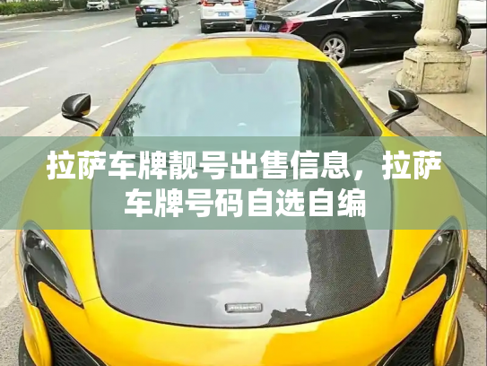 拉萨车牌靓号出售信息，拉萨车牌号码自选自编-第1张图片-七号汽车选号