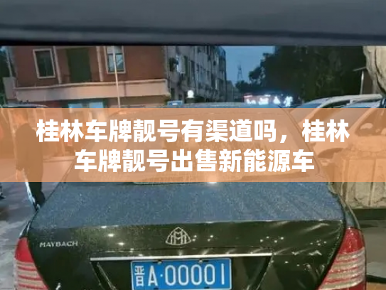 桂林车牌靓号有渠道吗,桂林车牌靓号出售新能源车-第3张图片-七号汽车选号 桂林车牌靓号有渠道吗,桂林车牌靓号出售新能源车-第3张图片-七号汽车选号