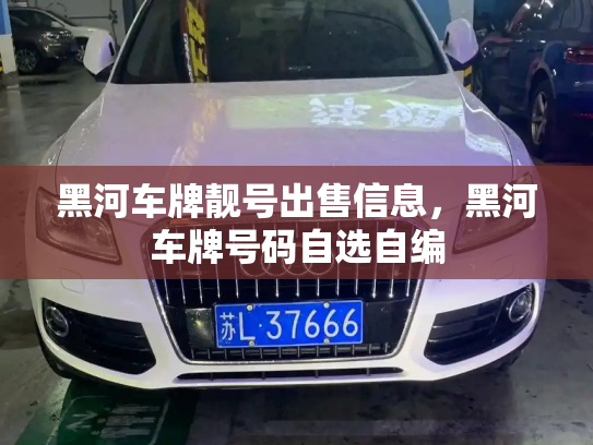 黑河车牌靓号出售信息,黑河车牌号码自选自编-第2张图片-七号汽车选号 黑河车牌靓号出售信息,黑河车牌号码自选自编-第2张图片-七号汽车选号