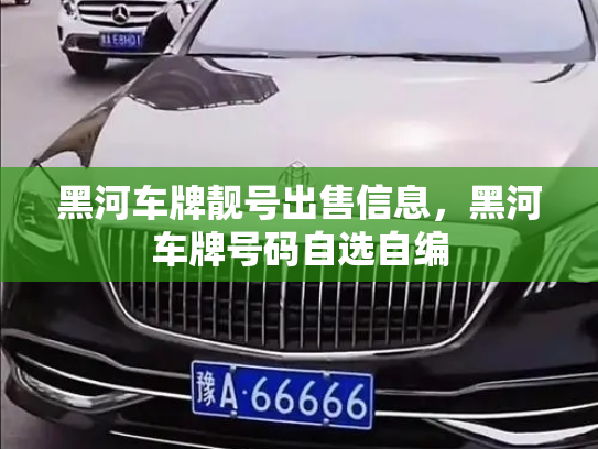 黑河车牌靓号出售信息,黑河车牌号码自选自编-第1张图片-七号汽车选号 黑河车牌靓号出售信息,黑河车牌号码自选自编-第1张图片-七号汽车选号