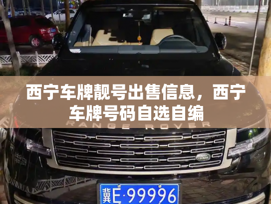 西宁车牌靓号出售信息,西宁车牌号码自选自编-第2张图片-七号汽车选号 西宁车牌靓号出售信息,西宁车牌号码自选自编-第2张图片-七号汽车选号