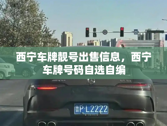 西宁车牌靓号出售信息,西宁车牌号码自选自编-第3张图片-七号汽车选号 西宁车牌靓号出售信息,西宁车牌号码自选自编-第3张图片-七号汽车选号