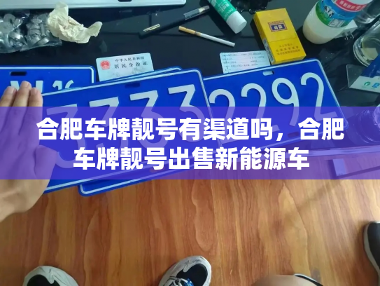 合肥车牌靓号有渠道吗,合肥车牌靓号出售新能源车-第2张图片-七号汽车选号 合肥车牌靓号有渠道吗,合肥车牌靓号出售新能源车-第2张图片-七号汽车选号