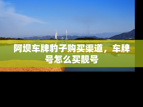 阿坝车牌豹子购买渠道，车牌号怎么买靓号
