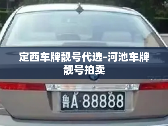 定西车牌靓号代选-河池车牌靓号拍卖-第3张图片-七号汽车选号