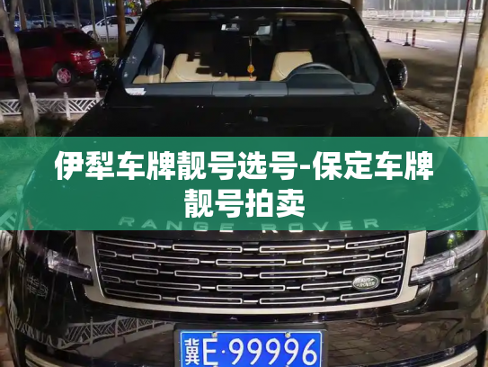 伊犁车牌靓号选号-保定车牌靓号拍卖-第2张图片-七号汽车选号 伊犁车牌靓号选号-保定车牌靓号拍卖-第2张图片-七号汽车选号
