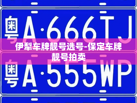 伊犁车牌靓号选号-保定车牌靓号拍卖-第3张图片-七号汽车选号 伊犁车牌靓号选号-保定车牌靓号拍卖-第3张图片-七号汽车选号