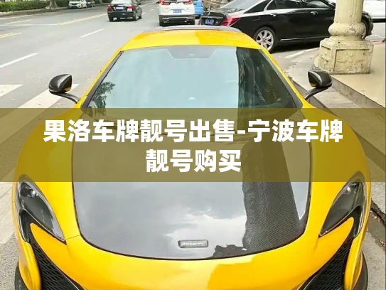 果洛车牌靓号出售-宁波车牌靓号购买-第2张图片-七号汽车选号 果洛车牌靓号出售-宁波车牌靓号购买-第2张图片-七号汽车选号