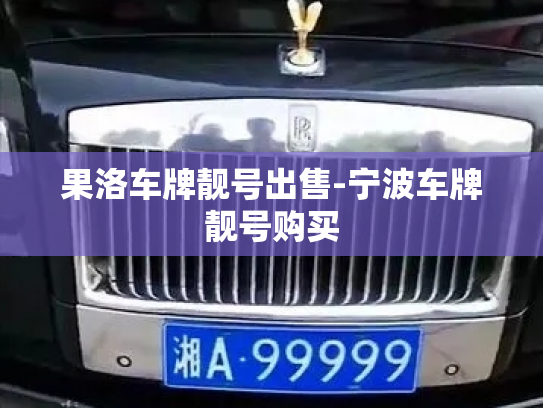 果洛车牌靓号出售-宁波车牌靓号购买-第3张图片-七号汽车选号 果洛车牌靓号出售-宁波车牌靓号购买-第3张图片-七号汽车选号