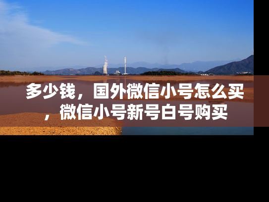 多少钱，国外微信小号怎么买，微信小号新号白号购买-第1张图片-七号汽车选号
