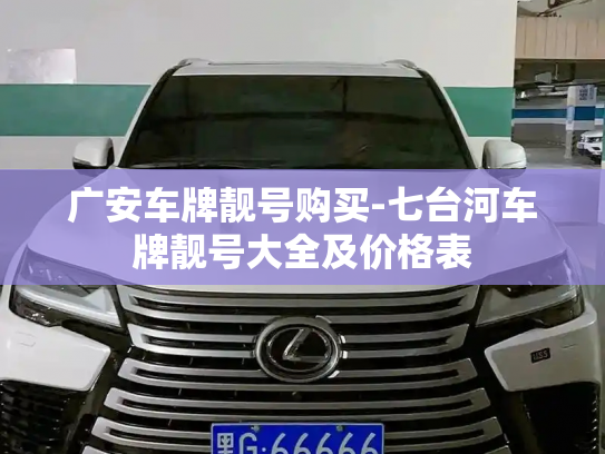 广安车牌靓号购买-七台河车牌靓号大全及价格表-第2张图片-七号汽车选号 广安车牌靓号购买-七台河车牌靓号大全及价格表-第2张图片-七号汽车选号