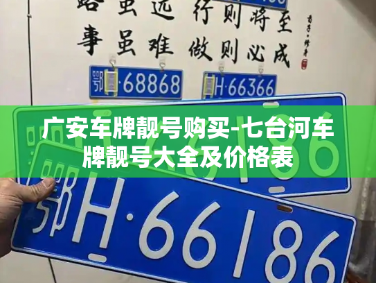广安车牌靓号购买-七台河车牌靓号大全及价格表-第3张图片-七号汽车选号 广安车牌靓号购买-七台河车牌靓号大全及价格表-第3张图片-七号汽车选号