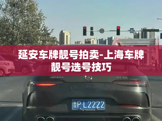 延安车牌靓号拍卖-上海车牌靓号选号技巧-第2张图片-七号汽车选号 延安车牌靓号拍卖-上海车牌靓号选号技巧-第2张图片-七号汽车选号
