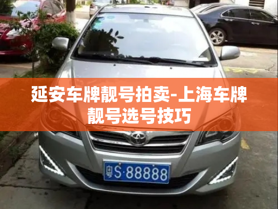 延安车牌靓号拍卖-上海车牌靓号选号技巧-第3张图片-七号汽车选号 延安车牌靓号拍卖-上海车牌靓号选号技巧-第3张图片-七号汽车选号