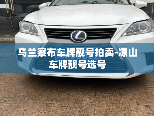 乌兰察布车牌靓号拍卖-凉山车牌靓号选号-第3张图片-七号汽车选号 乌兰察布车牌靓号拍卖-凉山车牌靓号选号-第3张图片-七号汽车选号