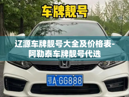 辽源车牌靓号大全及价格表-阿勒泰车牌靓号代选-第2张图片-七号汽车选号 辽源车牌靓号大全及价格表-阿勒泰车牌靓号代选-第2张图片-七号汽车选号