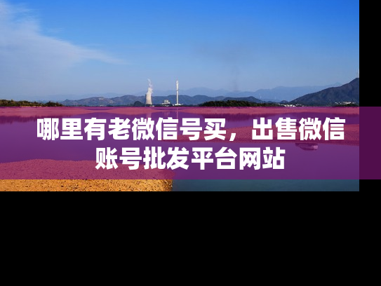 哪里有老微信号买，出售微信账号批发平台网站-第1张图片-七号汽车选号