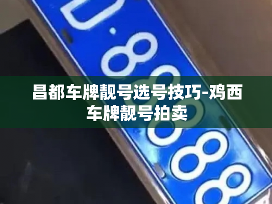 昌都车牌靓号选号技巧-鸡西车牌靓号拍卖-第3张图片-七号汽车选号 昌都车牌靓号选号技巧-鸡西车牌靓号拍卖-第3张图片-七号汽车选号