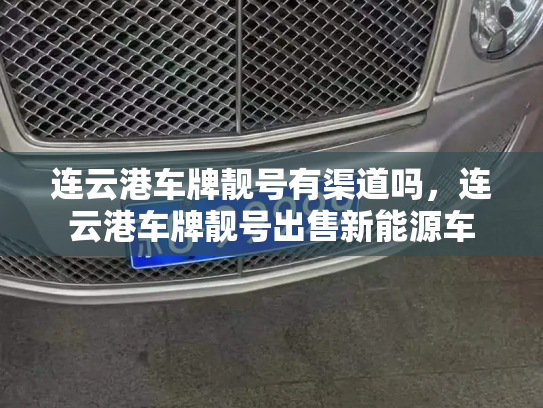 连云港车牌靓号有渠道吗,连云港车牌靓号出售新能源车-第2张图片-七号汽车选号 连云港车牌靓号有渠道吗,连云港车牌靓号出售新能源车-第2张图片-七号汽车选号