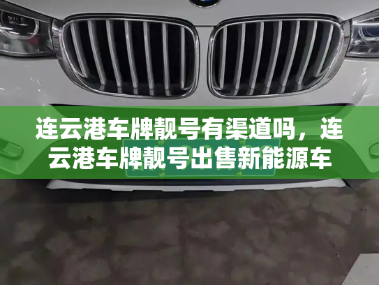 连云港车牌靓号有渠道吗,连云港车牌靓号出售新能源车-第3张图片-七号汽车选号 连云港车牌靓号有渠道吗,连云港车牌靓号出售新能源车-第3张图片-七号汽车选号