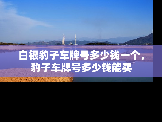 白银豹子车牌号多少钱一个，豹子车牌号多少钱能买