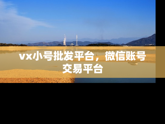 vx小号批发平台，微信账号交易平台-第1张图片-七号汽车选号
