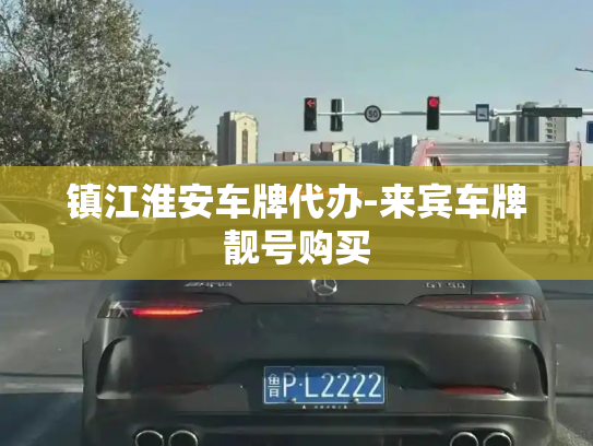 镇江淮安车牌代办-来宾车牌靓号购买-第2张图片-七号汽车选号