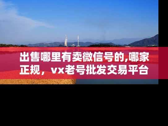 出售哪里有卖微信号的,哪家正规，vx老号批发交易平台-第1张图片-七号汽车选号