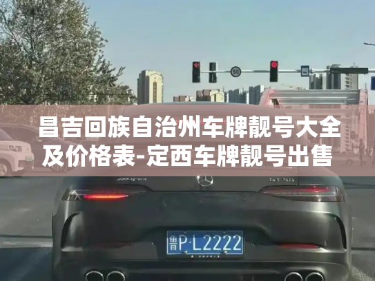 昌吉回族自治州车牌靓号大全及价格表-定西车牌靓号出售-第3张图片-七号汽车选号