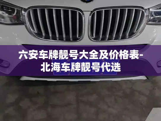 六安车牌靓号大全及价格表-北海车牌靓号代选-第3张图片-七号汽车选号 六安车牌靓号大全及价格表-北海车牌靓号代选-第3张图片-七号汽车选号