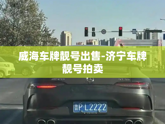 威海车牌靓号出售-济宁车牌靓号拍卖-第2张图片-七号汽车选号 威海车牌靓号出售-济宁车牌靓号拍卖-第2张图片-七号汽车选号