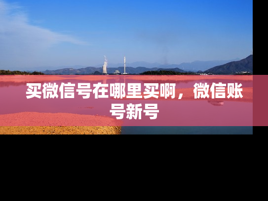 买微信号在哪里买啊，微信账号新号-第1张图片-七号汽车选号