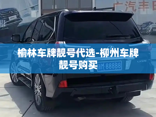 榆林车牌靓号代选-柳州车牌靓号购买-第2张图片-七号汽车选号 榆林车牌靓号代选-柳州车牌靓号购买-第2张图片-七号汽车选号