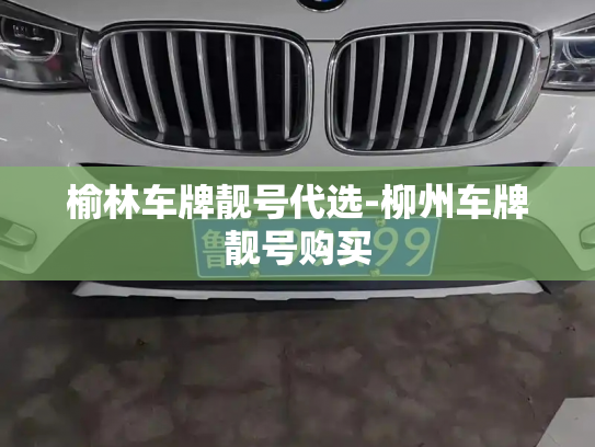 榆林车牌靓号代选-柳州车牌靓号购买-第3张图片-七号汽车选号 榆林车牌靓号代选-柳州车牌靓号购买-第3张图片-七号汽车选号