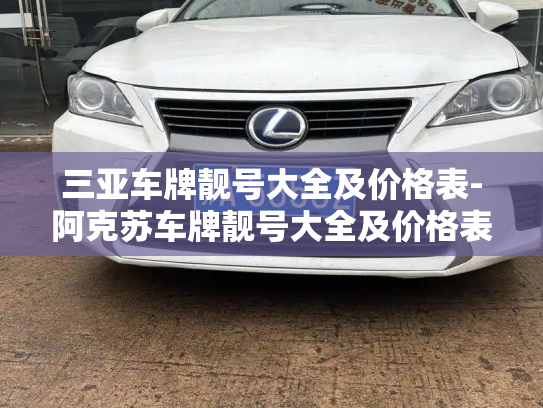 三亚车牌靓号大全及价格表-阿克苏车牌靓号大全及价格表-第2张图片-七号汽车选号 三亚车牌靓号大全及价格表-阿克苏车牌靓号大全及价格表-第2张图片-七号汽车选号