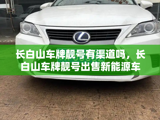 长白山车牌靓号有渠道吗,长白山车牌靓号出售新能源车-第2张图片-七号汽车选号 长白山车牌靓号有渠道吗,长白山车牌靓号出售新能源车-第2张图片-七号汽车选号