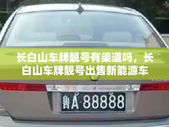 长白山车牌靓号有渠道吗,长白山车牌靓号出售新能源车-第3张图片-七号汽车选号 长白山车牌靓号有渠道吗,长白山车牌靓号出售新能源车-第3张图片-七号汽车选号