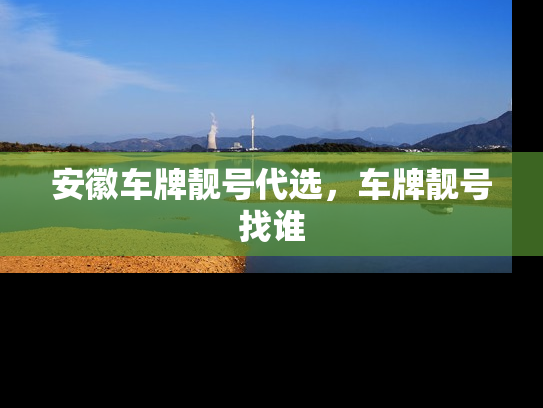 安徽车牌靓号代选，车牌靓号找谁