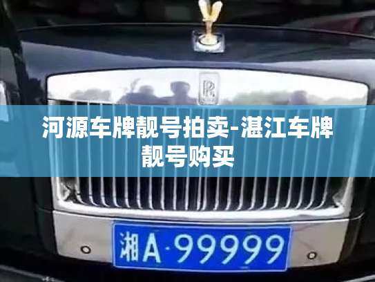 河源车牌靓号拍卖-湛江车牌靓号购买-第2张图片-七号汽车选号 河源车牌靓号拍卖-湛江车牌靓号购买-第2张图片-七号汽车选号
