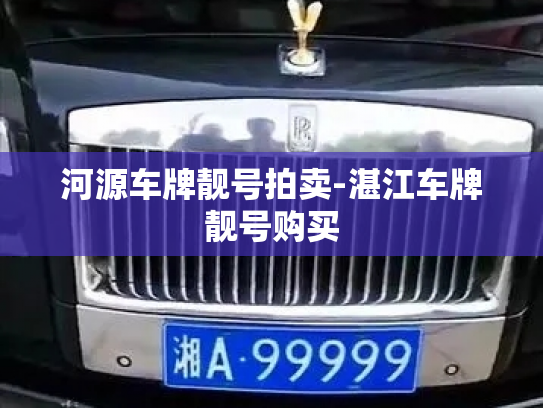 河源车牌靓号拍卖-湛江车牌靓号购买-第3张图片-七号汽车选号 河源车牌靓号拍卖-湛江车牌靓号购买-第3张图片-七号汽车选号