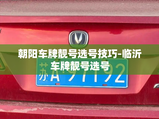 朝阳车牌靓号选号技巧-临沂车牌靓号选号-第2张图片-七号汽车选号 朝阳车牌靓号选号技巧-临沂车牌靓号选号-第2张图片-七号汽车选号