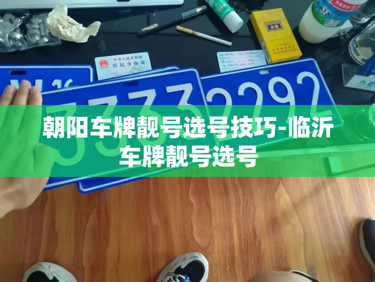 朝阳车牌靓号选号技巧-临沂车牌靓号选号-第3张图片-七号汽车选号 朝阳车牌靓号选号技巧-临沂车牌靓号选号-第3张图片-七号汽车选号