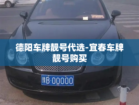 德阳车牌靓号代选-宜春车牌靓号购买-第3张图片-七号汽车选号 德阳车牌靓号代选-宜春车牌靓号购买-第3张图片-七号汽车选号